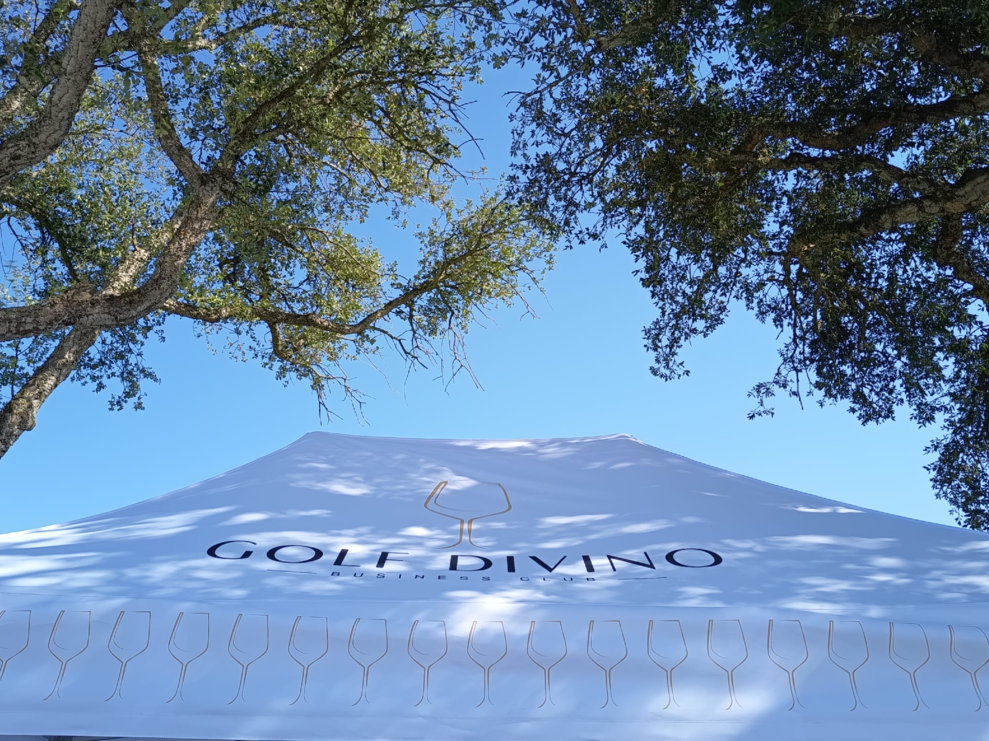 EXITO TOTAL EN LA HACIENDA LINKS (Sotogrande)